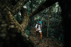 BIB: 
                            <button type="button" onclick="openModal(25666303)" class="btn btn-primary btn-sm float-right btn-popup" data-toggle="modal" data-target=".modal-high-quality">
                        <i class="fas fa-shopping-cart"></i> Add to Cart
                    </button>
                                            <button type="button" onclick="isThisMe(25666303, true)" class="btn btn-success btn-sm float-right btn-popup btn-isme hidden" data-toggle="tooltip" data-placement="bottom" title="นี่คือรูปของคุณใช่ไหม คลิกที่นี่เพื่อเอาเข้าอัลบั้ม">
                        <i class="fas fa-plus"></i> Add to album
                    </button>
                    <button type="button" onclick="isThisMe(25666303, false)" class="btn btn-warning btn-sm float-right btn-popup btn-isnotme hidden">
                        <i class="fas fa-ban"></i> Remove from album
                    </button>